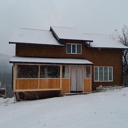 Затишні Карпати)) Apartment Верховина Екстериор снимка
